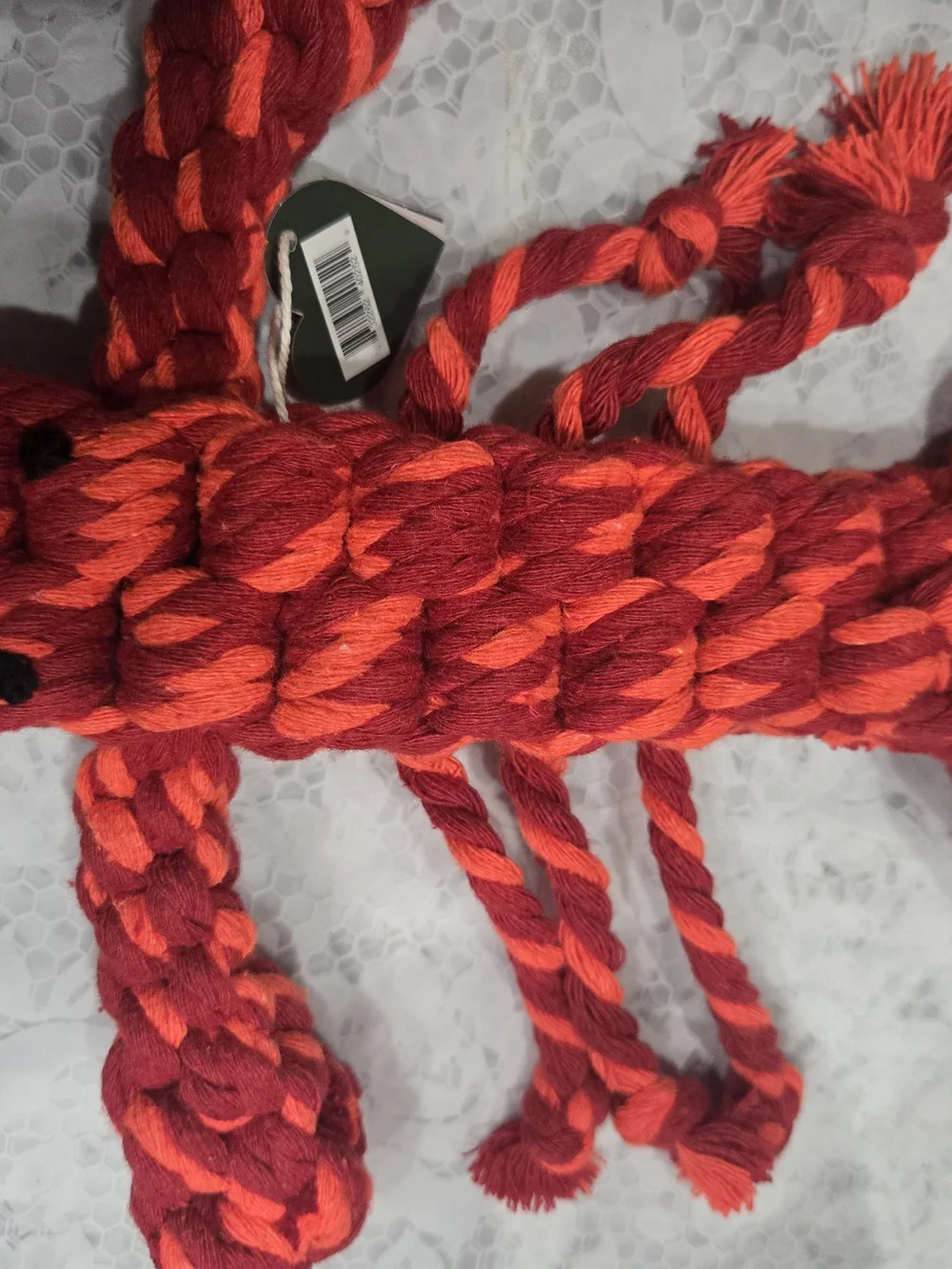 Coral Pop Lobster Pet Toy - Coral Red Braided Rope